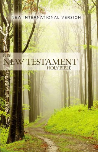 NIV, Outreach New Testament, Paperback - Softcover