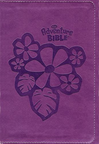 NIrV, Adventure Bible for Early Readers, Imitation Leather, Purple, Full Color - Imitation Leather With ribbon marker(s)