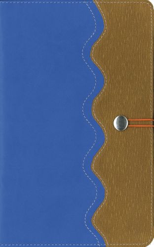 NIrV, Adventure Bible for Early Readers, Imitation Leather, Blue/Tan, Full Color - Imitation Leather With ribbon marker(s)