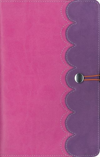 NIrV, Adventure Bible for Early Readers, Imitation Leather, Pink/Purple, Full Color - Imitation Leather With ribbon marker(s)