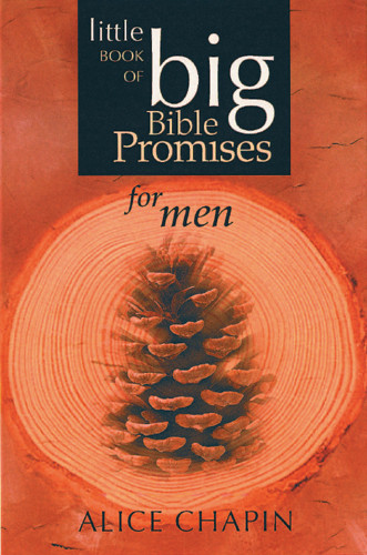 The Little Book of Big Bible Promises for Men - Softcover