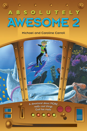 Absolutely Awesome 2 - Softcover