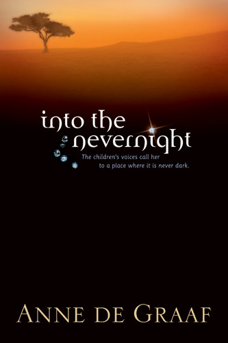Into the Nevernight - Softcover
