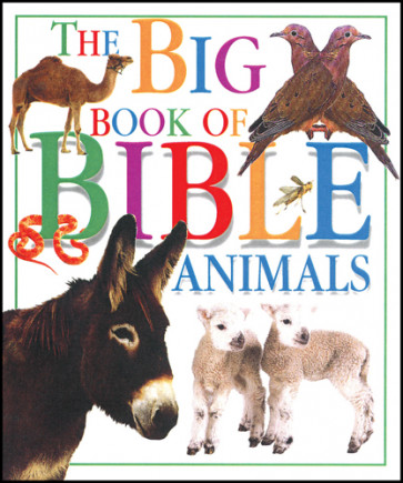 DK Pack: Big Book of Bible Animals/Bible Food Fun/God Made Me - Shrink-wrapped pack