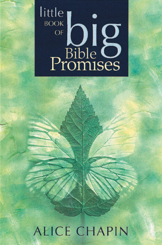 The Little Book of Big Bible Promises - Softcover