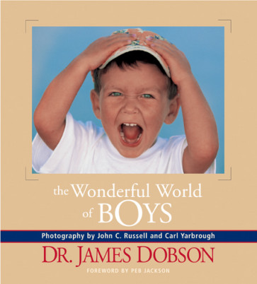 The Wonderful World of Boys - Hardcover