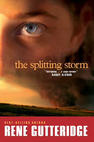 The Splitting Storm - Softcover