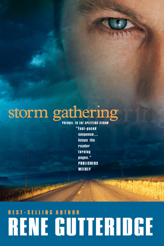 Storm Gathering - Softcover