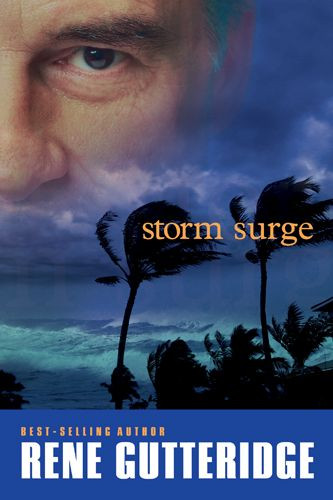 Storm Surge - Softcover