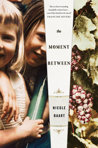 The Moment Between - Softcover