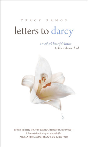 Letters to Darcy - Hardcover