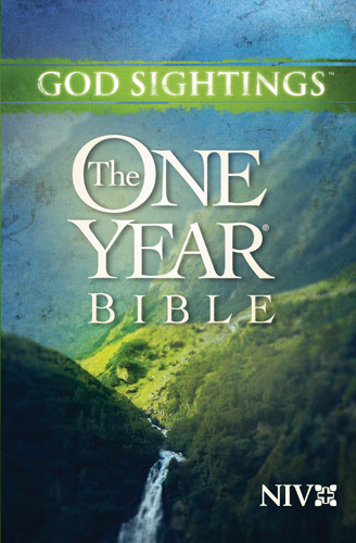 God Sightings: The One Year Bible NIV - Softcover