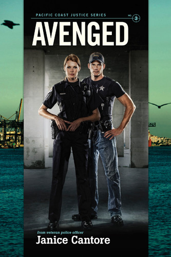 Avenged - Softcover