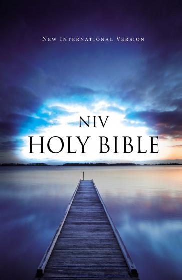 NIV, Value Outreach Bible, Paperback, Blue - Softcover