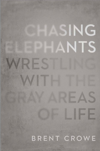 Chasing Elephants - Softcover