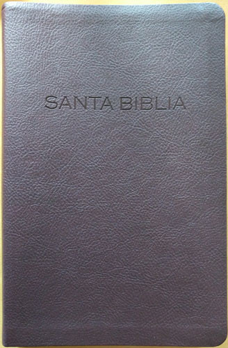 Biblia NVI - Imitation Leather