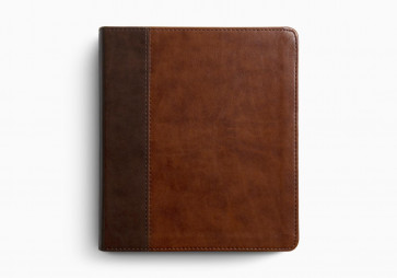 ESV Journaling Bible, Red Letter (TruTone, Brown/Tan, Timeless Design) - Imitation Leather With ribbon marker(s)