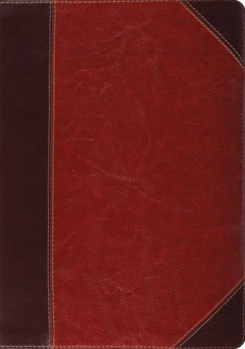 ESV Study Bible (TruTone, Brown/Cordovan, Portfolio Design, Indexed) - Imitation Leather Multicolor With ribbon marker(s)