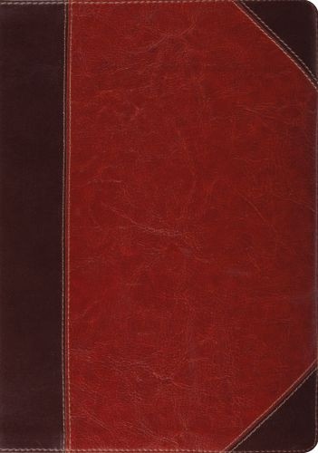 ESV Study Bible (TruTone, Brown/Cordovan, Portfolio Design, Indexed) - Imitation Leather Multicolor With ribbon marker(s)