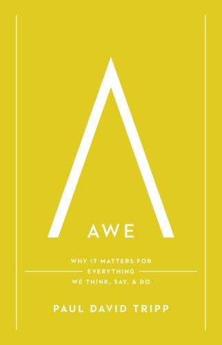 Awe - Hardcover