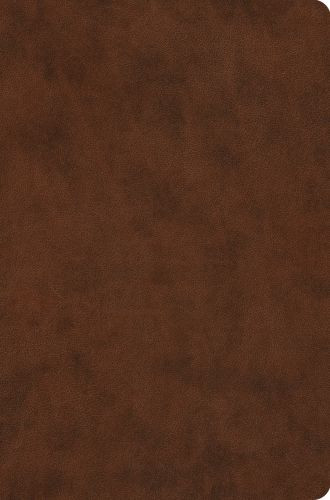ESV Value Compact Bible (TruTone, Brown) - Imitation Leather