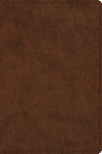 ESV Study Bible, Personal Size (TruTone, Brown) - Imitation Leather With ribbon marker(s)
