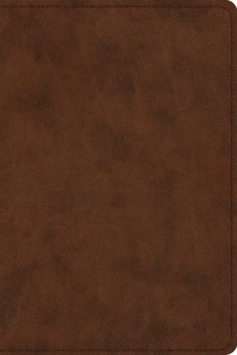 ESV Study Bible, Personal Size (TruTone, Brown) - Imitation Leather With ribbon marker(s)