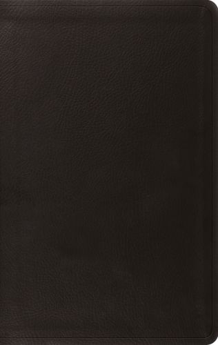 ESV Value Thinline Bible (TruTone, Black) - Imitation Leather