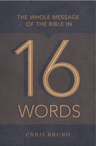 Whole Message of the Bible in 16 Words - Softcover