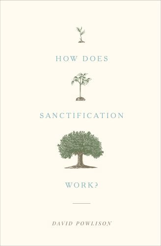 How Does Sanctification Work? - Softcover
