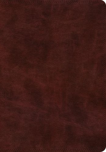 ESV Super Giant Print Bible (TruTone, Burgundy) - Imitation Leather With ribbon marker(s)