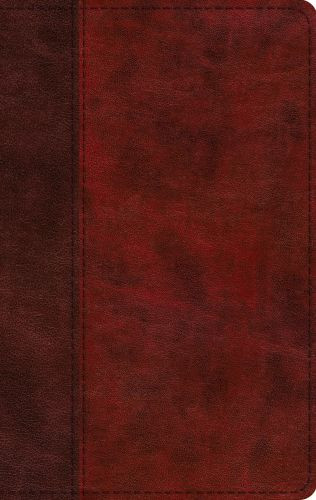 ESV Large Print Thinline Bible (TruTone, Burgundy/Red, Timeless Design) - Imitation Leather With ribbon marker(s)