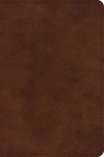 ESV Large Print Bible (TruTone, Deep Brown) - Imitation Leather