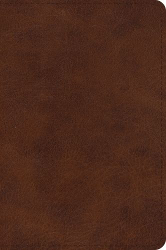 ESV Large Print Bible (TruTone, Deep Brown) - Imitation Leather