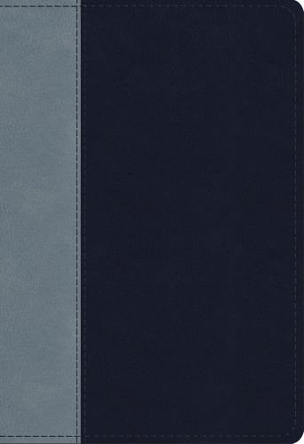 ESV Student Study Bible (TruTone, Navy/Slate, Timeless Design) - Imitation Leather With ribbon marker(s)