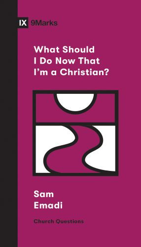 What Should I Do Now That I'm a Christian? - Softcover