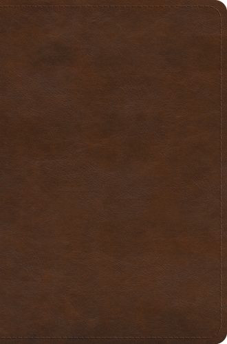 ESV Literary Study Bible (TruTone, Brown) - Imitation Leather With ribbon marker(s)