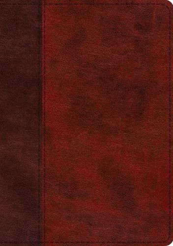 ESV Single Column Journaling Bible, Large Print (TruTone, Burgundy/Red, Timeless Design) - Imitation Leather With ribbon marker(s)
