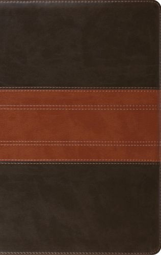 ESV Large Print Personal Size Bible (TruTone, Forest/Tan, Trail Design) - Imitation Leather With ribbon marker(s)