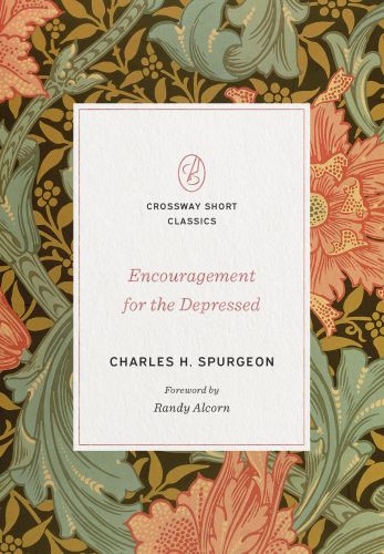 Encouragement for the Depressed - Softcover
