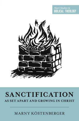 Sanctification as Set Apart and Growing in Christ - Softcover