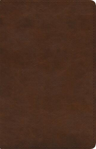 ESV Spanish/English Parallel Bible (La Santa Biblia RVR 1960 / The Holy Bible ESV, TruTone, Brown) - Imitation Leather