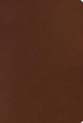 ESV Men's Study Bible (TruTone, Brown) - Imitation Leather With ribbon marker(s)