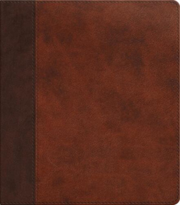 ESV Journaling Study Bible (TruTone, Brown/Chestnut, Timeless Design) - Imitation Leather With ribbon marker(s)