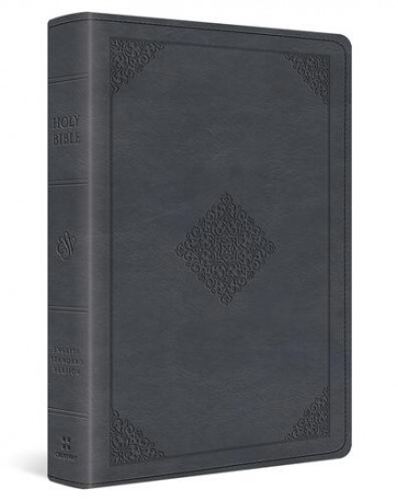 ESV Large Print Wide Margin Bible (TruTone, Slate Blue, Ornament Design) - Imitation Leather With ribbon marker(s)