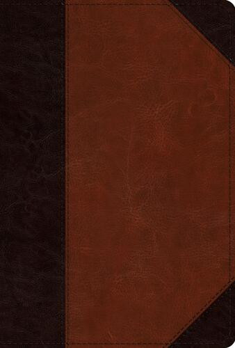 ESV Men's Study Bible (TruTone, Brown/Cordovan, Portfolio Design) - Imitation Leather With ribbon marker(s)