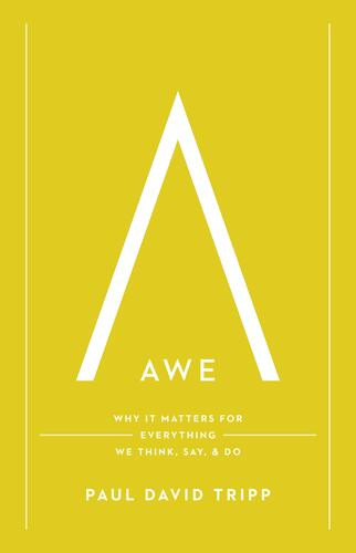 Awe - Hardcover