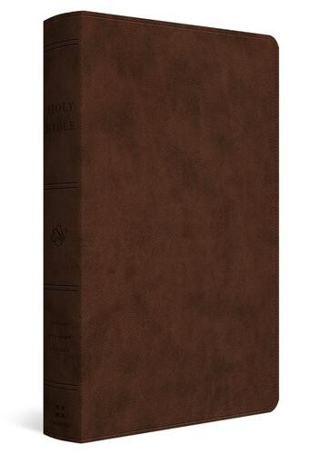 ESV Holy Bible - Imitation Leather With ribbon marker(s)