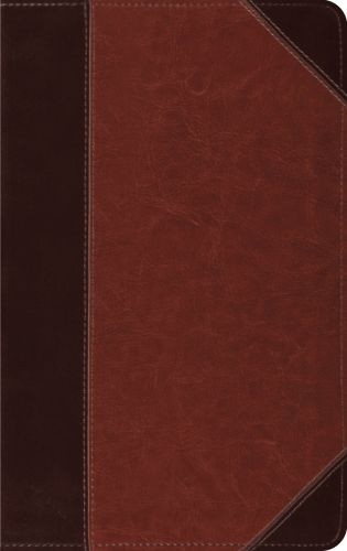 ESV Thinline Bible (TruTone, Brown/Cordovan, Portfolio Design) - Imitation Leather Multicolor With ribbon marker(s)