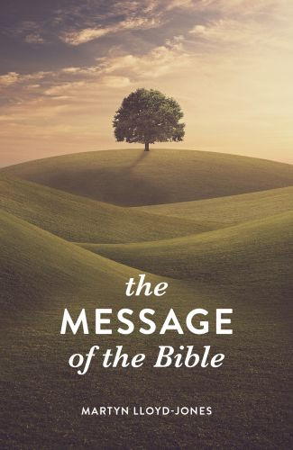 Message of the Bible (25-pack) - Pamphlet